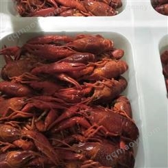 厂商直销鲜活清水小龙虾 龙虾尾肉虾球正规厂家质量保证