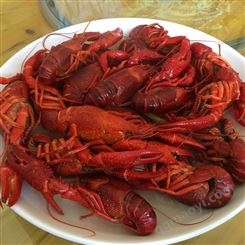 带黄龙虾仁供应商加热即食麻辣小龙虾