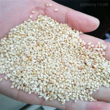 焦作香油供应宏兴食品 三英芝麻