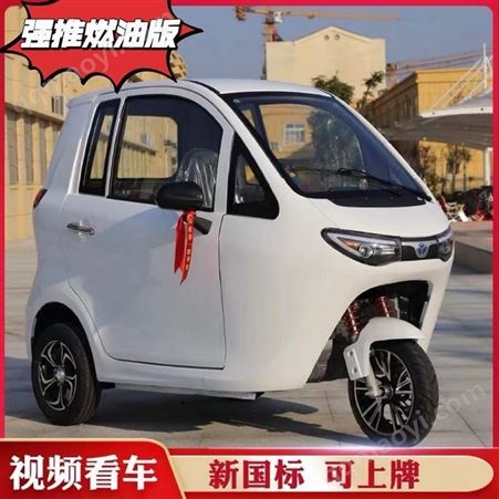 蒙仕鑫御虎三轮摩托车封闭式载客三轮车国标可上牌机动助残代步车
