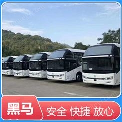 濮阳到青岛豪华大巴车直达客车乘坐班次旅客需知