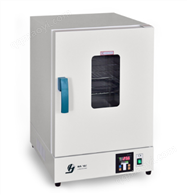 鼓风干燥箱DHG-9108A