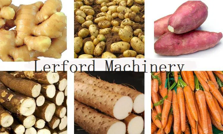 Carrot Peeler Machine